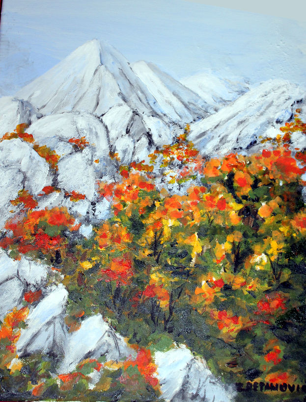 Zvonko Petanović Slavonski Brod